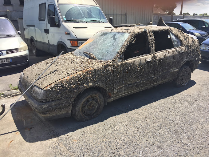 Aperçu des activités de la casse automobile P2AR située à SAINGHIN-EN-MELANTOIS (59262)